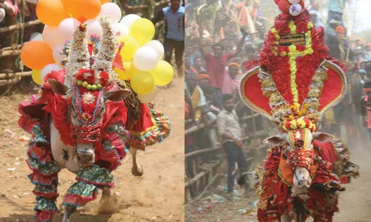 ಸೊರಬ: ಸಡಗರದಿಂದ ನಡೆದ ಹೋರಿ ಬೆದರಿಸುವ ಹಬ್ಬ