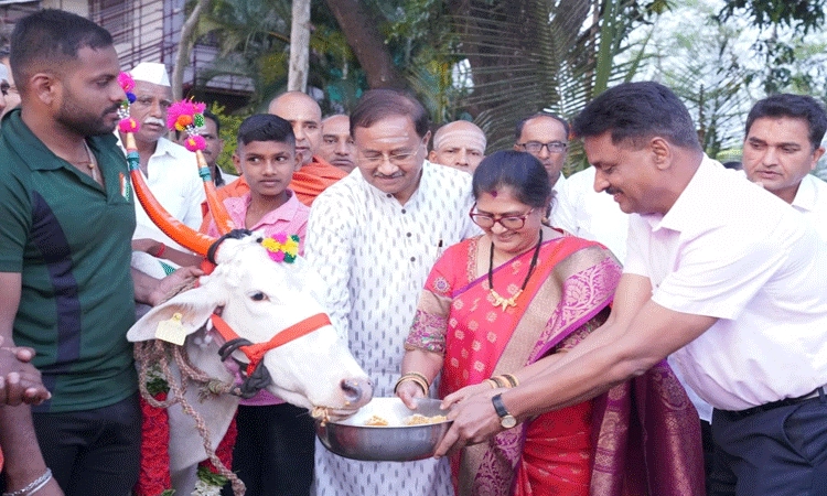 ಗೋಪೂಜೆ ಮಾಡಿ ನೇಗಿಲು ಹಿಡಿದ ಸಚಿವೆ ಶಶಿಕಲಾ ಜೊಲ್ಲೆ