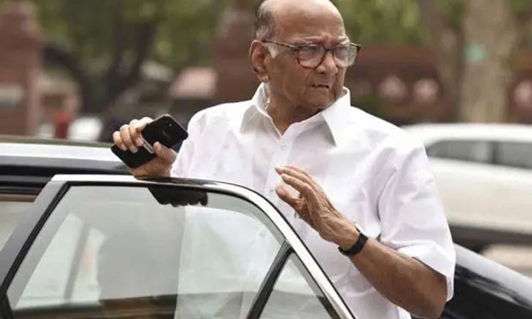 ಬಿಜೆಪಿ ವಿರುದ್ಧ ಯಾವುದೇ ರಂಗವನ್ನು ಮುನ್ನಡೆಸಲು ಹೋಗುವುದಿಲ್ಲ: ಶರದ್ ಪವಾರ್