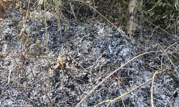 Beltangady: ರಾಷ್ಟ್ರೀಯ ಹೆದ್ದಾರಿ ಬದಿ ಬೆಂಕಿ… ತಪ್ಪಿದ ಹೆಚ್ಚಿನ ಅನಾಹುತ