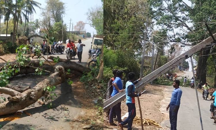 Hunsur: ಬಿರುಗಾಳಿ, ಮಳೆಗೆ ಧರೆಗುರುಳಿದ ಮರ, ವಿದ್ಯುತ್ ಕಂಬ