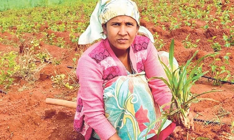 ಕೃಷಿ, ಕಟ್ಟಡ ನಿರ್ಮಾಣಕ್ಕೆ  ಕಾರ್ಮಿಕರ ಬರ!