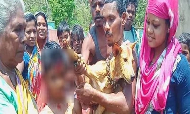 ಬೀದಿ ನಾಯಿಯೊಂದಿಗೆ ಅಪ್ರಾಪ್ತ ಮಕ್ಕಳ ಮದುವೆ ಮಾಡಿಸಿದ ಗ್ರಾಮಸ್ಥರು: ಕಾರಣವೇ ವಿಚಿತ್ರ
