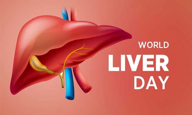 World Liver Day 2023:ಯಕೃತ್‌ ಕಸಿ ಚಿಕಿತ್ಸೆ ಸುರಕ್ಷಿತವೇ? ಲಿವರ್ ವೈಫಲ್ಯ ಎಂದರೇನು