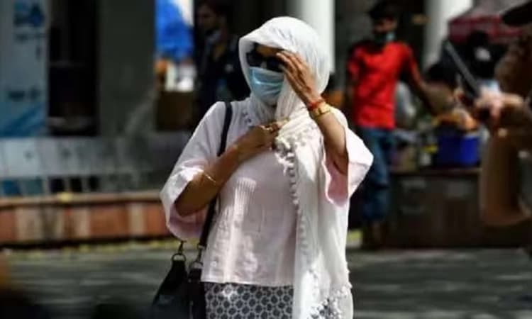 ಮಹಾರಾಷ್ಟ್ರ: ಬಿಸಿಲ ಝಳಕ್ಕೆ 13 ಮಂದಿ ಸಾವು