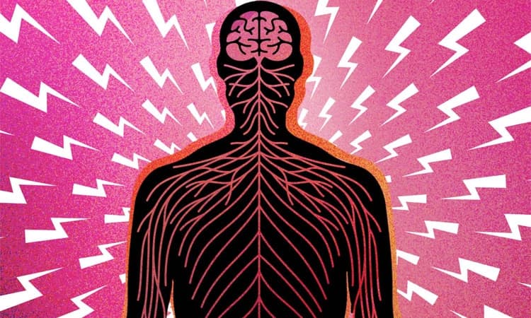 ನೋವಿನ ಕಾರ್ಖಾನೆ; ಉದ್ಯೋಗಕ್ಕೆ ಸಂಬಂಧಿಸಿದ ಮೂಳೆ-ಸ್ನಾಯು ಸಮಸ್ಯೆಗಳು