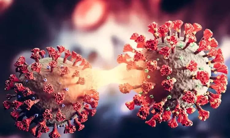 ಚುನಾವಣೆ ಕಾವಿನ ಜತೆ ಕೊರೊನಾ ಏರಿಕೆ ! ಬಿಸಿಲ ಬೇಗೆಯ ಮಧ್ಯೆ ಚುನಾವಣ ಹೊಸ್ತಿಲಲ್ಲಿ ಆತಂಕ