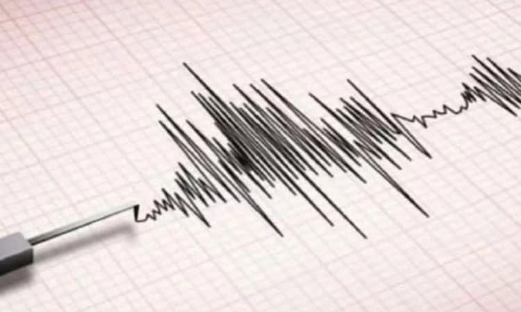 Earthquake: ಬಿಹಾರ, ಜಮ್ಮು ಮತ್ತು ಕಾಶ್ಮೀರದಲ್ಲಿ ಬೆಳ್ಳಂಬೆಳಗ್ಗೆ ಕಂಪಿಸಿದ ಭೂಮಿ