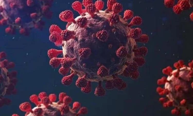 Covid variant XBB: ದೇಶದಲ್ಲಿ ಹೊಸ ರೂಪಾಂತರಿ ಎಕ್ಸ್‌ಬಿಬಿ ದೃಢ