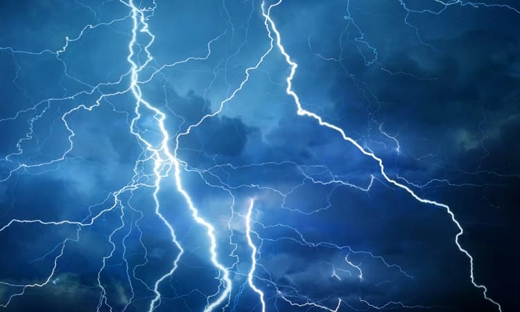 ಸಿಡಿಲು ಬಡಿದು ಗರ್ಭಿಣಿ ದನ ಸಾವು, ತೆಂಗಿನ ಮರಕ್ಕೆ ಬೆಂಕಿ