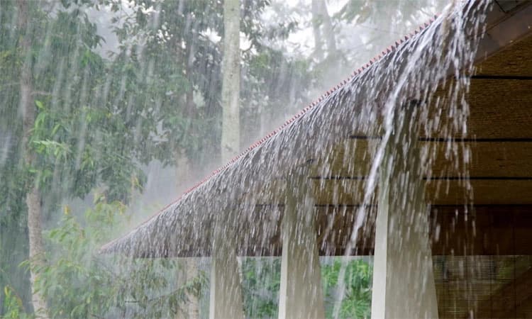 Rain update: ಅಕಾಲಿಕ ಮಳೆಗೆ ನಾಲ್ವರು ಸಾವು