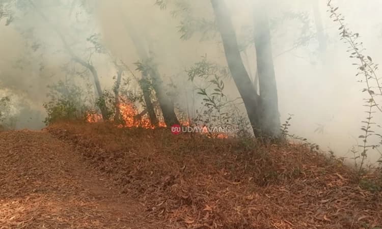 ಕುಂಜಾರುಗಿರಿ: ದುರ್ಗಮ ನೆಡುತೋಪು ಪ್ರದೇಶದಲ್ಲಿ ತಡರಾತ್ರಿಯೂ ಕಂಡು ಬಂದ ಬೆಂಕಿ