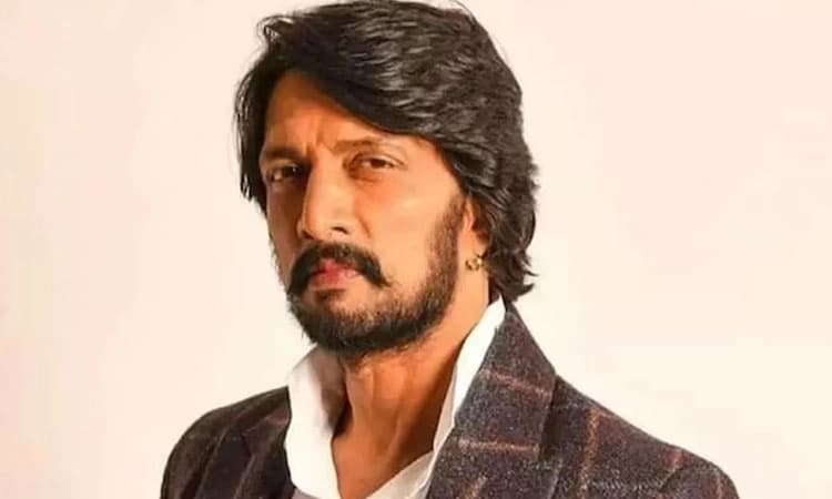 Kichcha Sudeep: ನಾನು ಯಾವ ಪಕ್ಷದ ಪರವಾಗಿ ಟಿಕೆಟ್‌ ಕೇಳಿಲ್ಲ; ವದಂತಿಗೆ ಕಿಚ್ಚ ಸ್ಪಷ್ಟನೆ