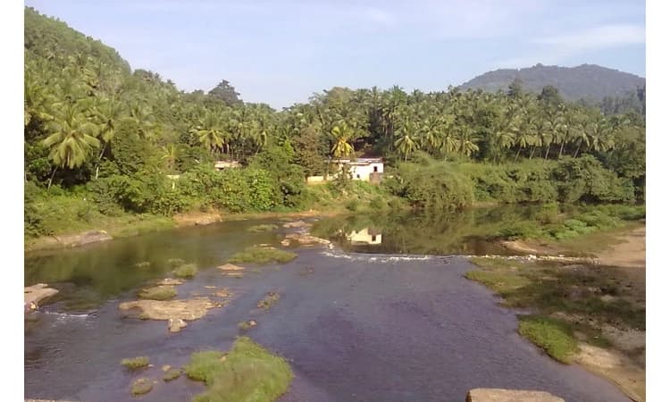 ಪಯಸ್ವಿನಿ: ಕುಸಿದ ನೀರಿನ ಪ್ರಮಾಣ – ಸುಳ್ಯ ನಗರಕ್ಕೆ ಕುಡಿಯುವ ನೀರಿನ ಸಮಸ್ಯೆಯ ಭೀತಿ