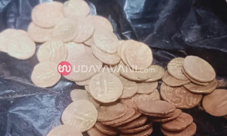 ದೇವಸ್ಥಾನ ಜೀರ್ಣೋದ್ದಾರ ವೇಳೆ: ಚೋಳರಕಾಲದ 65 ಚಿನ್ನದ ನಾಣ್ಯ ಪತ್ತೆ