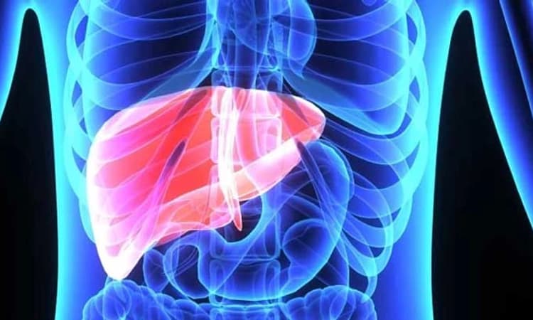 Health Tips: ಏನಿದು ಪಿತ್ತಜನಕಾಂಗದ ಕೊಬ್ಬು? ಈ ಸಮಸ್ಯೆ ಎಷ್ಟು ಗಂಭೀರ