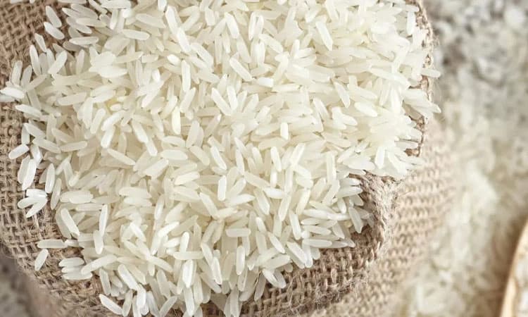 ಬಂಟ್ವಾಳ: ದಾಖಲೆಗಳಿಲ್ಲದೆ ಅಕ್ಕಿ ಸಾಗಾಟ; ಲಾರಿ ಸಹಿತ ಲಕ್ಷಾಂತರ ರೂ. ಮೌಲ್ಯದ ಅಕ್ಕಿ ವಶ