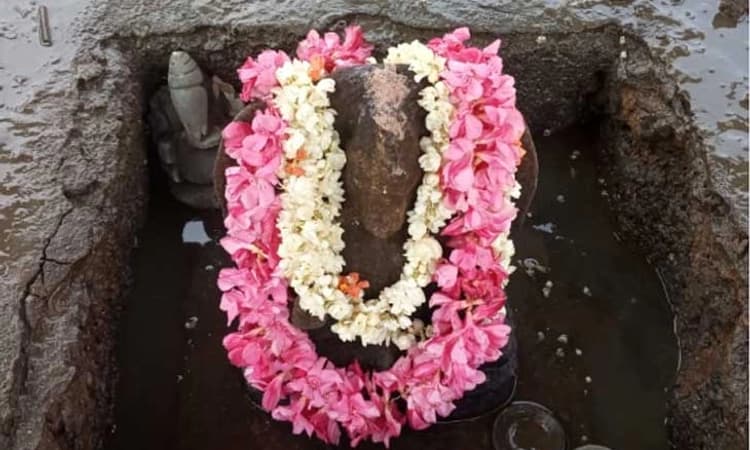 ಪುತ್ತೂರು ಶ್ರೀಮಹಾಲಿಂಗೇಶ್ವರ ದೇವಸ್ಥಾನ; ಕೆರೆಯ ತಳಭಾಗದಲ್ಲಿ ವರುಣಾ ದೇವರ ಮೂರ್ತಿ ದರ್ಶನ