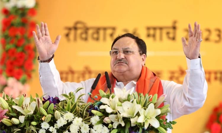 ಮಧ್ಯಪ್ರದೇಶದಲ್ಲಿ 230 ರಲ್ಲಿ ಬಿಜೆಪಿ 200ಕ್ಕೂ ಹೆಚ್ಚು ಸ್ಥಾನ ಗೆಲ್ಲಲಿದೆ: ನಡ್ಡಾ