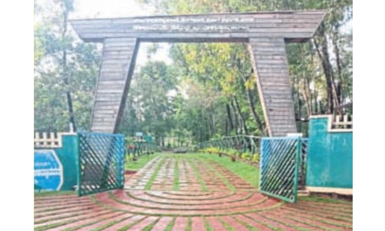 ಬೆಳ್ತಂಗಡಿ: ಸಾಲುಮರದ ತಿಮ್ಮಕ್ಕ ವೃಕ್ಷೋದ್ಯಾನ ಸಿದ್ಧ