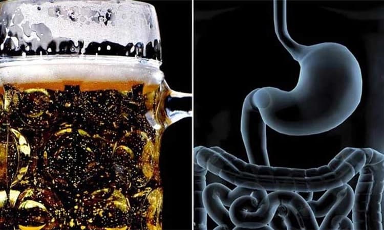 Health: ಒಂದು ಬಾಟಲ್ ಬಿಯರ್/ 1 ಪೆಗ್ ಕುಡಿಯೋದರಿಂದ ಆರೋಗ್ಯದ ಮೇಲೆ ಬೀರುವ ಪರಿಣಾಮ ಗೊತ್ತಾ?