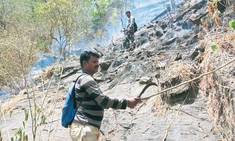 ಚಾರ್ಮಾಡಿ: ಅರಣ್ಯ ಸಿಬಂದಿ ಶ್ರಮ; ಕಾಳ್ಗಿಚ್ಚು ಹತೋಟಿಯತ್ತ