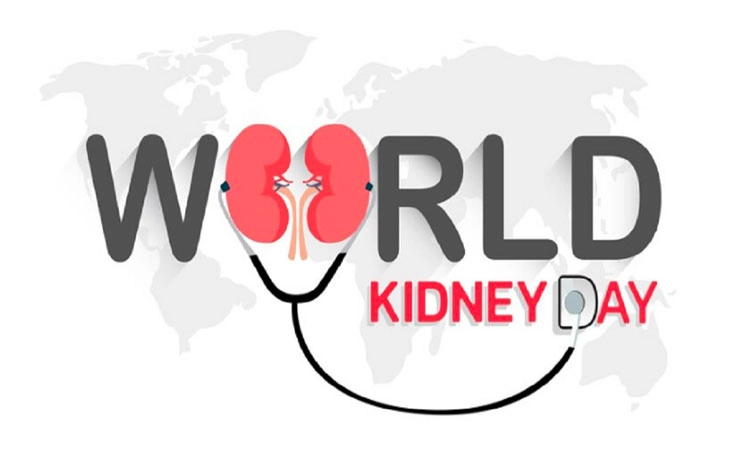 World Kidney Day: ಹಿಮೋಡಯಾಲಿಸಿಸ್‌: ಯಾವಾಗ ಅಗತ್ಯ? ಯಾಕೆ ಆವಶ್ಯಕ? ಕಾರ್ಯನಿರ್ವಹಣೆ ಹೇಗೆ?