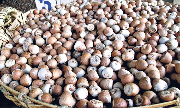 Arecanut Price: ಏರಿಕೆಯ ಹಾದಿಯಲ್ಲಿ ಅಡಿಕೆ ಧಾರಣೆ
