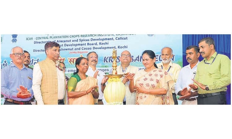 Subrahmanya: ಆರೋಗ್ಯಕ್ಕೆ ಅಡಿಕೆ: ಅಧ್ಯಯನಕ್ಕೆ 10 ಕೋ.ರೂ.