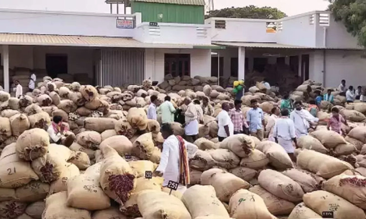 Byadagi; ತುಂಬಿದ ಕೋಲ್ಡ್ ಸ್ಟೋರೇಜ್ ಗಳು; ಲಾರಿಗಳಿಂದ ಟ್ರಾಫಿಕ್ ಜಾಮ್, ಸಾರ್ವಜನಿಕರ ತರಾಟೆ
