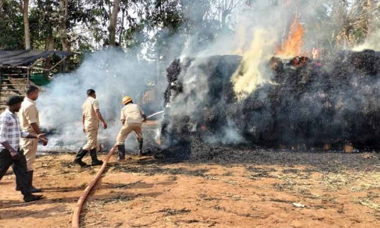 Hunsur: ಆಕಸ್ಮಿಕ ಬೆಂಕಿ ತಗುಲಿ ಹುಲ್ಲಿನ ಬಣವೆ ಭಸ್ಮ, 2 ಲಕ್ಷ ರೂ. ನಷ್ಟ