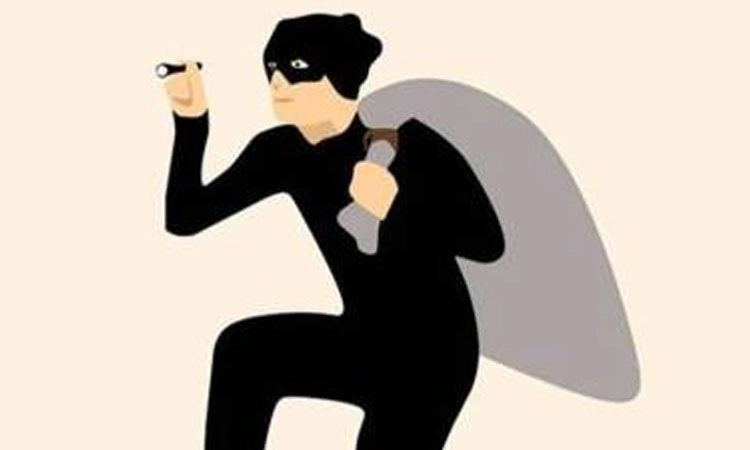 Theft: ಮನೆಗೆ ನುಗ್ಗಿ ಚಿನ್ನದ ನೆಕ್ಲೆಸ್‌ ಕಳವು