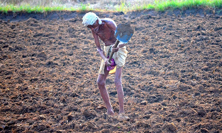 Farmers: ಕ್ಷಮಿಸಿ ಬಿಡು ಅನ್ನದಾತ