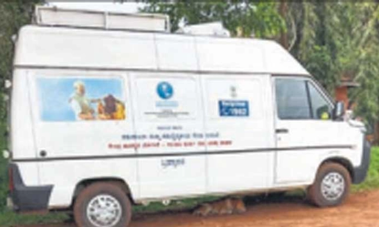 Udupi: ಜಾನುವಾರುಗಳಿಗೆ ತುರ್ತು ಚಿಕಿತ್ಸೆ; 8 ಪಶು ಸಂಜೀವಿನಿ ಆ್ಯಂಬುಲೆನ್ಸ್‌ ಲಭ್ಯ