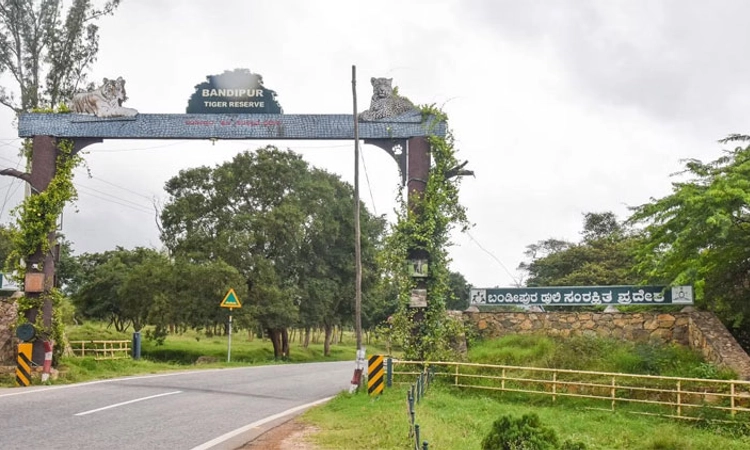 ಅತ್ಯುತ್ತಮ ವನ್ಯಧಾಮ: ಬಂಡೀಪುರಕ್ಕೆ ಎರಡು, ನಾಗರಹೊಳೆಗೆ 3ನೇ ಸ್ಥಾನ
