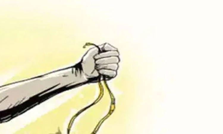 Kundapura: ವೃದ್ಧೆಯ ಕುತ್ತಿಗೆಯಿಂದ ಚಿನ್ನದ ಸರ ಅಪಹರಣ