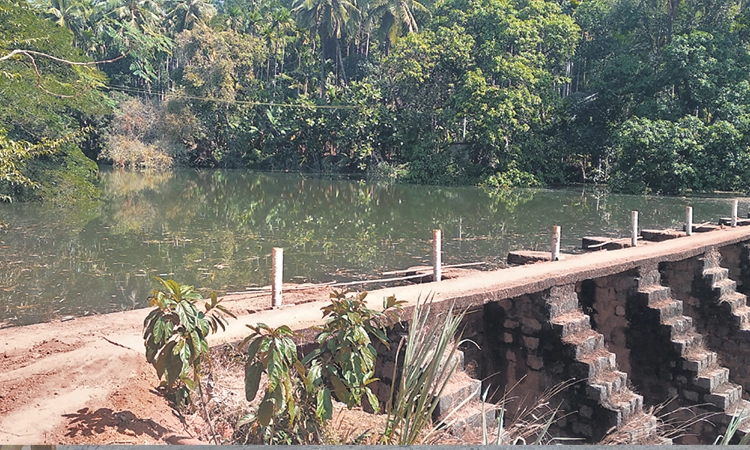 ನೆಕ್ಕರೆಕಾಡು ಕಿಂಡಿ ಅಣೆಕಟ್ಟಿನಲ್ಲಿ ಸಮೃದ್ಧ ಜಲರಾಶಿ