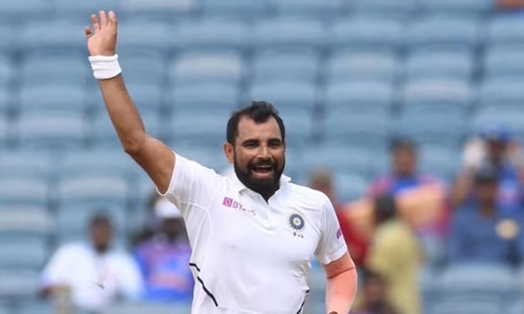 Mohammed Shami ಗೈರು ಭಾರತಕ್ಕೆ ದೊಡ್ಡ ಹೊಡೆತ ಎಂದ ಆಸೀಸ್‌ ಕೋಚ್‌: ಕ್ಷಮೆ ಯಾಚಿಸಿದ ಶಮಿ