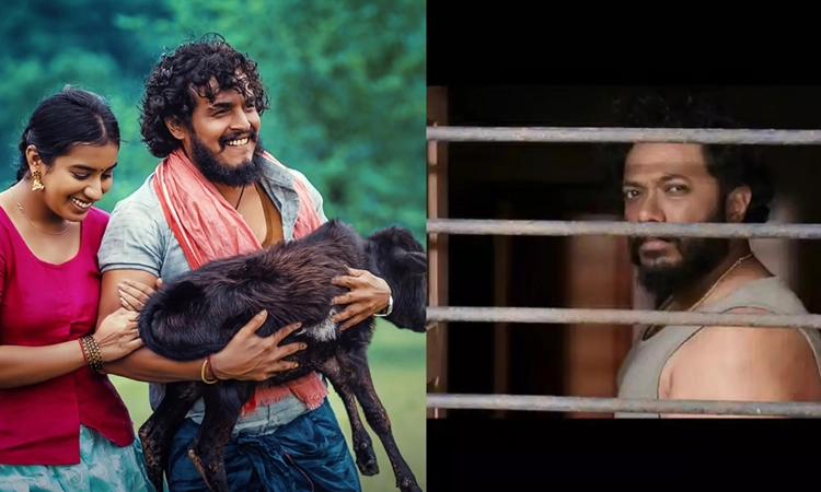 IFFI: ಗೋವಾ ಚಿತ್ರೋತ್ಸವಕ್ಕೆ ವೆಂಕ್ಯಾ, ಕೆರೆಬೇಟೆ