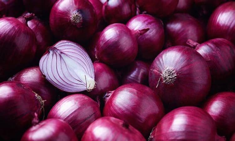 Onion; ಎಪಿಎಂಸಿಯಲ್ಲಿ ಈರುಳ್ಳಿ ಖರೀದಿದಾರರೇ ಇಲ್ಲ!