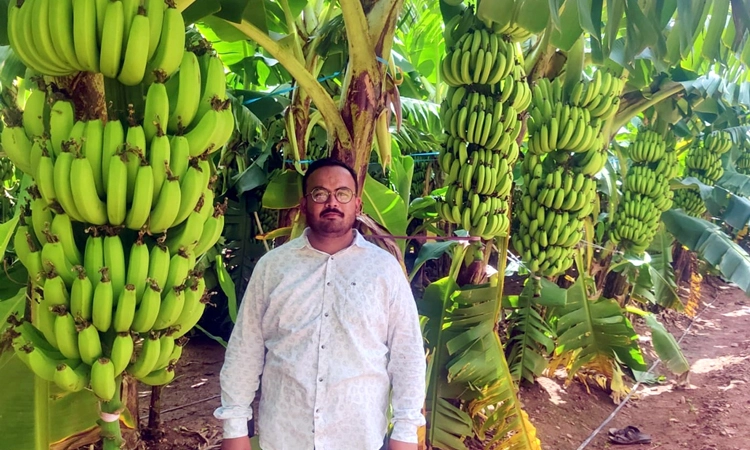 Banana Crop: ಇರಾನ್ ದೇಶಕ್ಕೆ ಜಗದಾಳ ಗ್ರಾಮದ ಬಾಳೆ ಹಣ್ಣು… 11 ತಿಂಗಳಲ್ಲಿ ಲಕ್ಷಾಂತರ ಲಾಭ