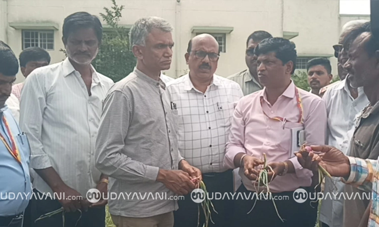 ಬಿಜೆಪಿಯವರಿಗೆ ಕಾಳಜಿಯಿದ್ದರೆ ಕೇಂದ್ರದಿಂದ ಬೆಳೆ ಪರಿಹಾರ ಹೆಚ್ಚಿಸಲಿ: ಕೃಷ್ಣ ಬೈರೇಗೌಡ