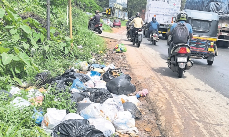 Mangaluru: ಪ್ಲಾಸ್ಟಿಕ್‌ ಸದ್ಬಳಕೆಯಿಂದ ದುಡ್ಡೂ ಮಾಡಬಹುದು!