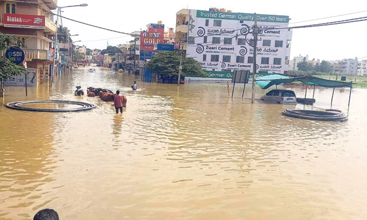 Heavy rains: ಮಳೆಯಬ್ಬರಕ್ಕೆ ಜನಜೀವನ ತತ್ತರ, ಅಪಾರ ಬೆಳೆ ಹಾನಿ, ನಷ್ಟ