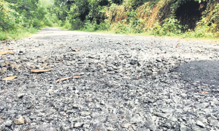 Thekkatte: ಸಂಪೂರ್ಣ ಹದಗೆಟ್ಟ ಬಿದ್ಕಲ್‌ಕಟ್ಟೆ-ಕಂಬಿಕಲ್ಲು ರಸ್ತೆ