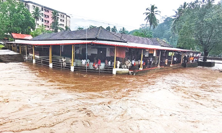ಮಳೆ ಅಬ್ಬರಕ್ಕೆ ಜಮೀನಲ್ಲೇ ಕೊಳೆಯುತ್ತಿರುವ ಬೆಳೆಗಳು!