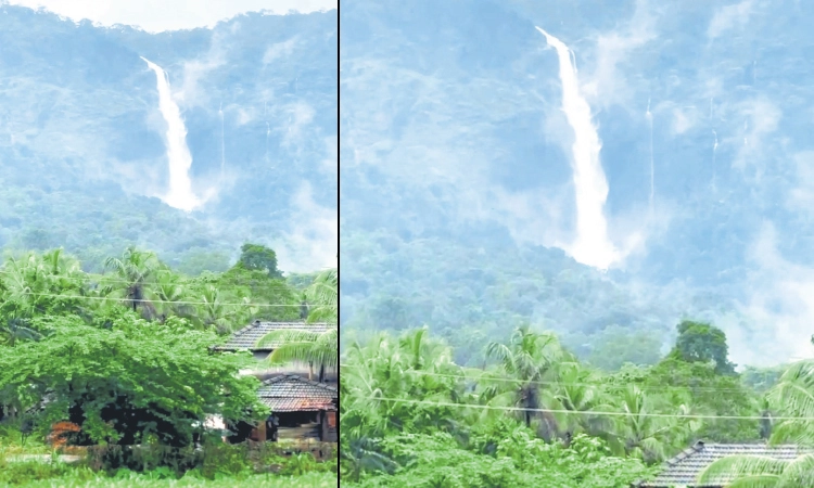 Kollur: ಕಸ್ತೂರಿ ಭಯಕ್ಕೆ ಬಹಿಷ್ಕಾರದ ಮೊರೆಹೋದ ಜನ