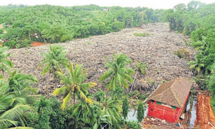 Mangaluru:ಮಂದಾರದ ಬದುಕು ಕಸಿದ ಪ್ಲಾಸ್ಟಿಕ್‌ ಪರ್ವತ..ಈ ಸ್ಥಿತಿಗೆ ಪ್ಲಾಸ್ಟಿಕ್‌ ನೇರ ಕಾರಣ!