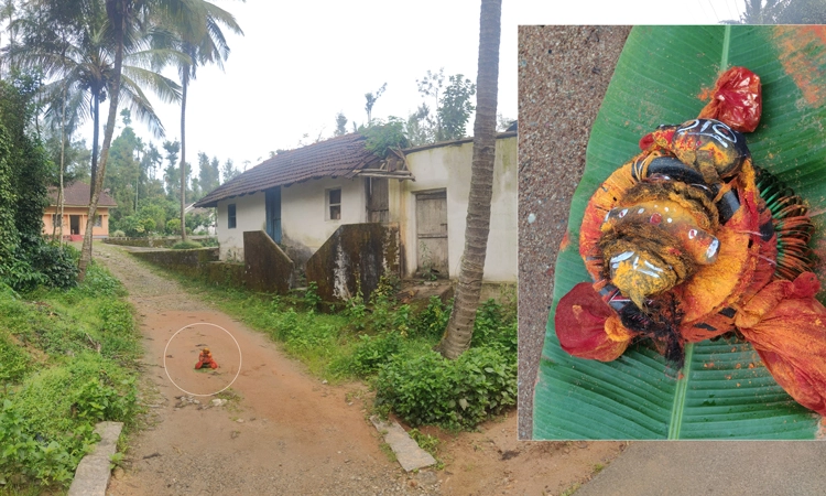 Mudigere: ರಾತ್ರಿ ಬೆಳಗಾಗುವುದರೊಳಗೆ ಕಿಡಿಗೇಡಿಗಳಿಂದ ವಾಮಾಚಾರ, ಬೆಚ್ಚಿಬಿದ್ದ ಮಲೆನಾಡು