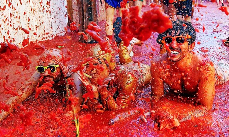 La Tomatina: ಏನಿದು ಲಾ ಟೊಮಾಟಿನಾ ಹಬ್ಬ…ಈ ಹಬ್ಬದ ವಿಶೇಷತೆ ಏನು ಗೊತ್ತಾ?